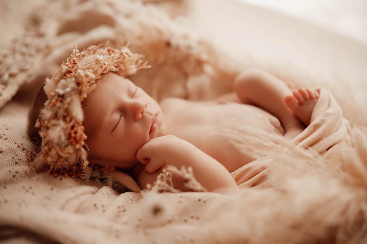 Everlasting newborn flowercrown - stretchy soft elastic headband.